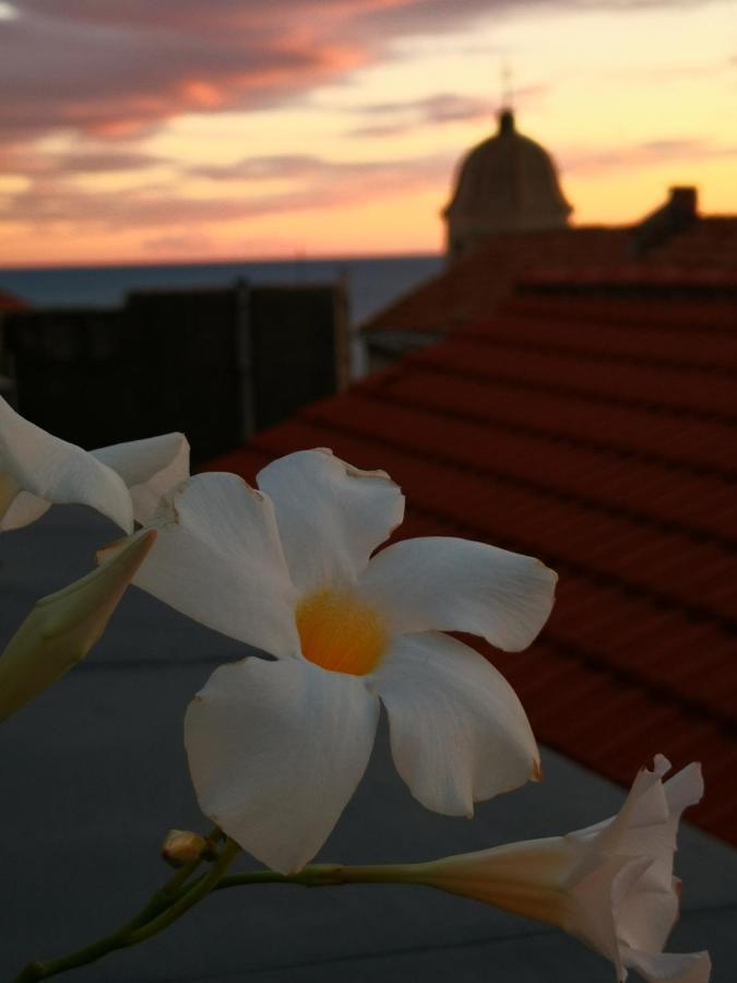 Bouquet Di Note Hotel Cervo Kültér fotó